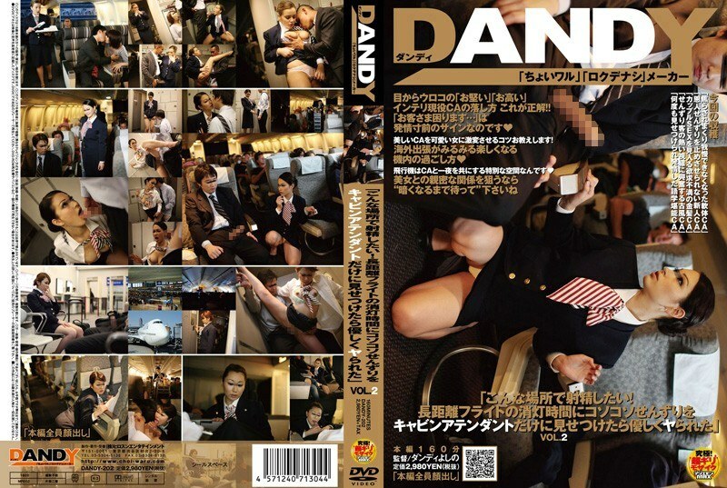 DANDY-202 『好想在這種地方射精!長途航班熄燈時偷偷偷看,結果空姐輕輕操了我』VOL.2 视频封面