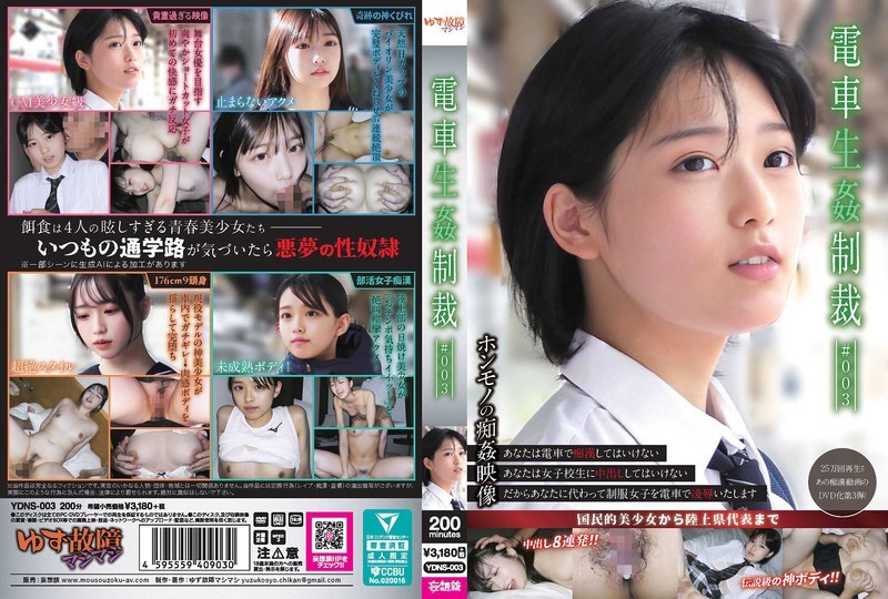 YDNS-003 火車性懲罰 #003