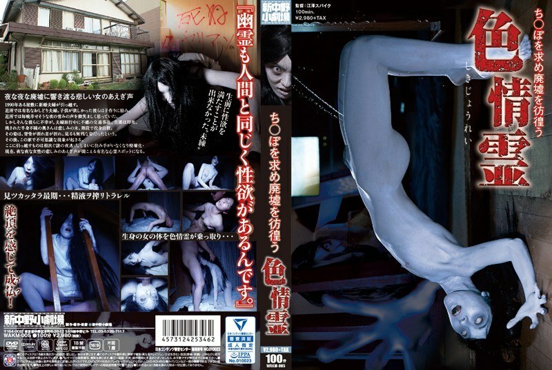 WAKM-005 貪婪的靈魂在廢墟中徘徊尋找chi*po 视频封面
