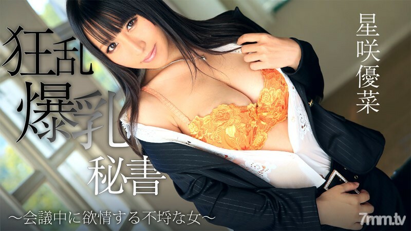 HEYZO-0746 狂暴巨乳秘書~開會時好色的無良女人~ 视频封面